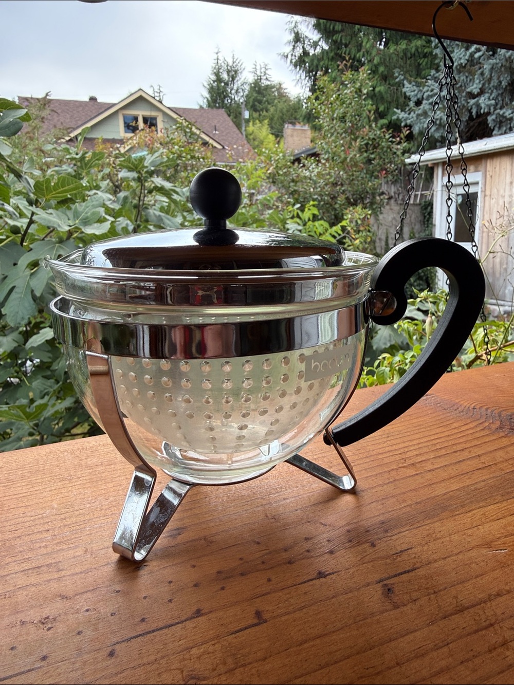 Small Bodum Glass Tea Infuser French Press with Black Handle and Silver Trim